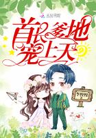 锦衣镇山河txt